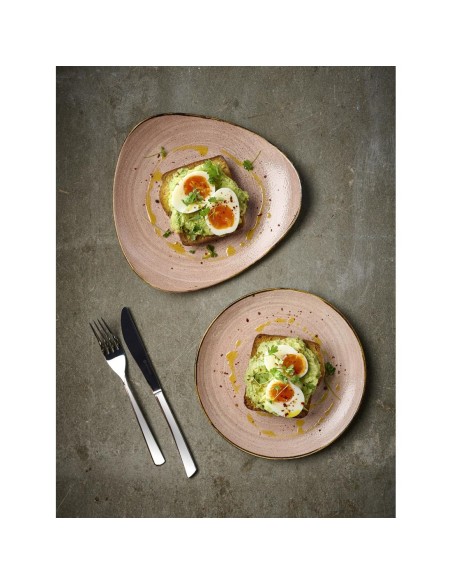 Assiettes Churchill Stonecast 260mm - Lot de 12