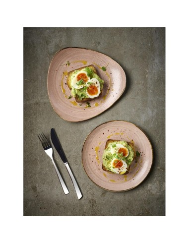 Assiettes Churchill Stonecast Raw 220mm - Lot de 12