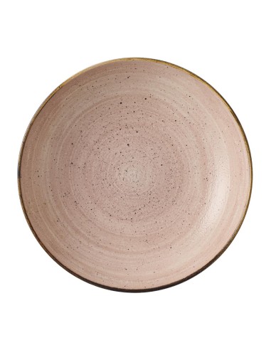 Bols Churchill Stonecast Raw Terracotta 248 mm - Lot de 12