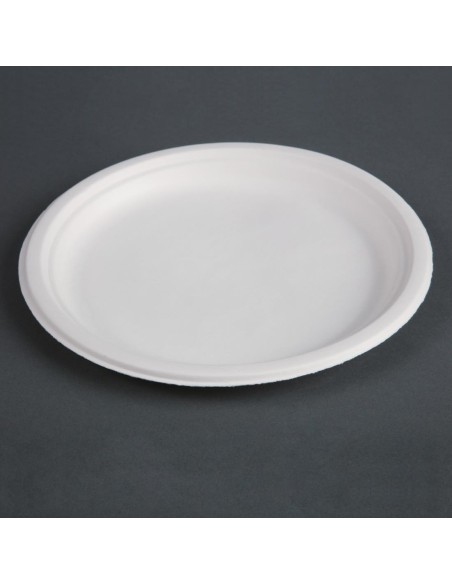 Assiettes compostables Fiesta 26 cm - Lot de 50