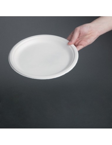Assiettes compostables Fiesta 26 cm - Lot de 50