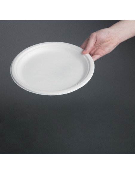 Assiettes compostables Fiesta 26 cm - Lot de 50