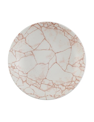 Assiettes coupe Churchill Kintsugi Evolve 248 mm - lot de 12