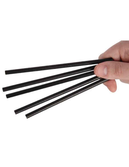 Pailles agitateurs compostables Fiesta noir - Lot 250