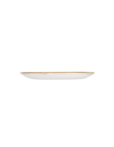 Assiettes Churchill Stonecast Grey 288mm - Lot de 12