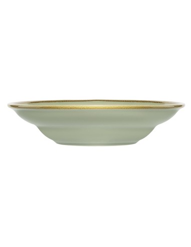 Assiettes à pâtes Olympia Kiln couleur Mousse 250mm - Lot de 4