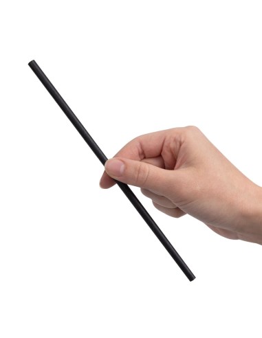 Pailles en papier noires Fiesta Recyclable - Lot de 250