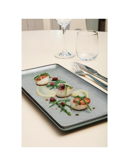 Assiettes rectangulaires Olympia Mineral 335mm - lot de 4