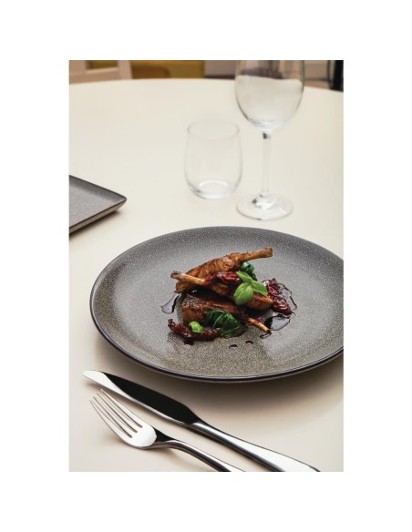 Assiettes plates rondes Olympia Mineral 280mm - lot de 4