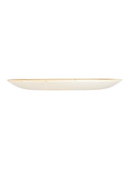 Assiettes Churchill Stonecast 288 mm Bleu - Lot de 12