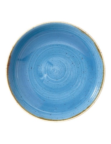 Assiettes rondes Churchill Stonecast 248 mm - Lot de 12