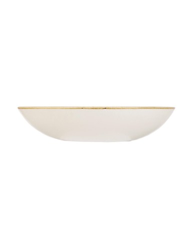 Assiettes rondes Churchill Stonecast 248 mm - Lot de 12