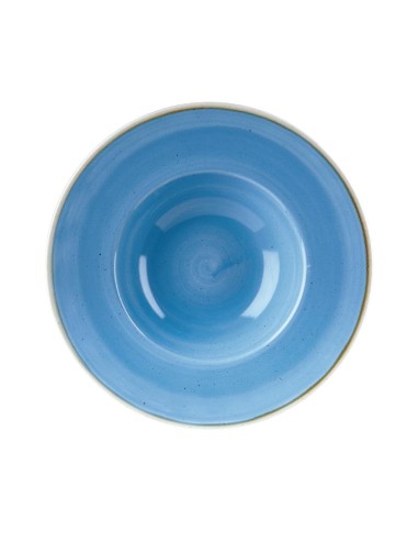 Bols Churchill Stonecast Bleu 239 mm - Lot de 12