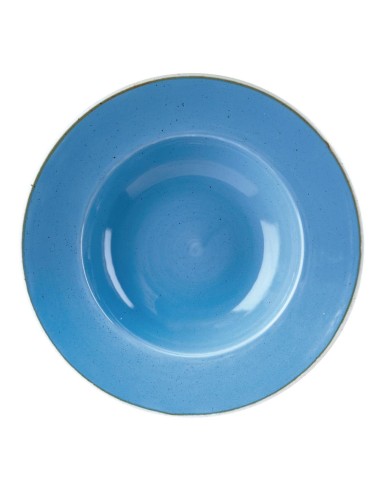 Bols Churchill Stonecast 277 mm - Lot de 12 bleu