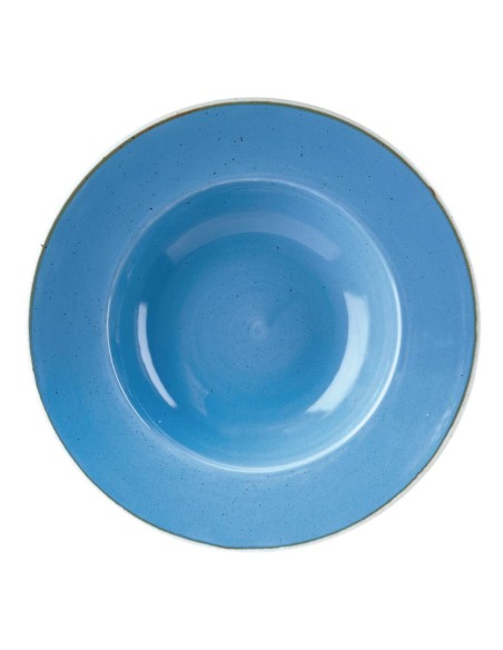 Bols Churchill Stonecast 277 mm - Lot de 12 bleu