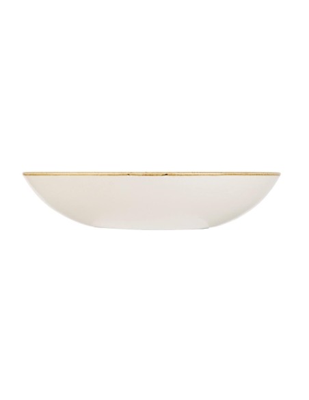 Assiettes rondes Churchill Stonecast 184mm - Lot de 12