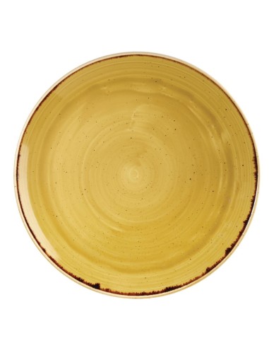 Assiettes Churchill Stonecast Yellow 288mm - Lot de 12