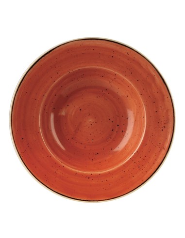 Bols Churchill Stonecast Orange 277mm - Lot de 12