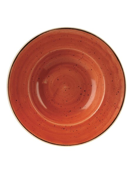 Bols Churchill Stonecast Orange 277mm - Lot de 12
