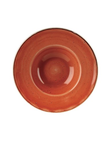 Bols Churchill Stonecast Orange 239mm - Lot de 12