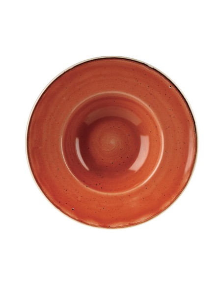 Bols Churchill Stonecast Orange 239mm - Lot de 12