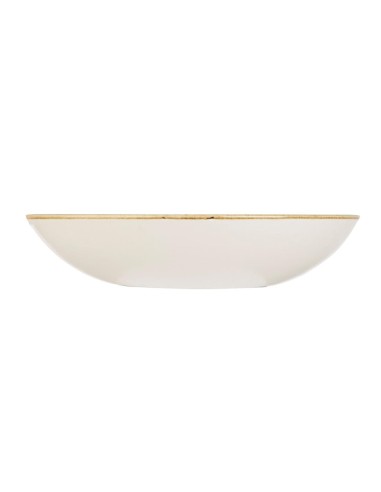 Assiettes Churchill Stonecast Jaune 248mm - Lot de 12