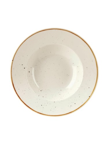 Bols Stonecast Churchill 240 mm - Lot de 12
