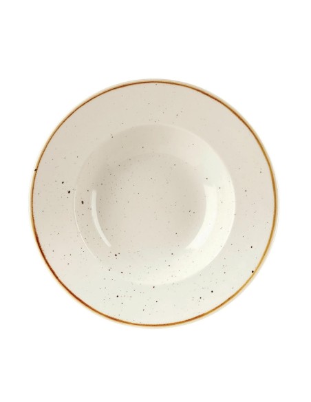 Bols Stonecast Churchill 240 mm - Lot de 12