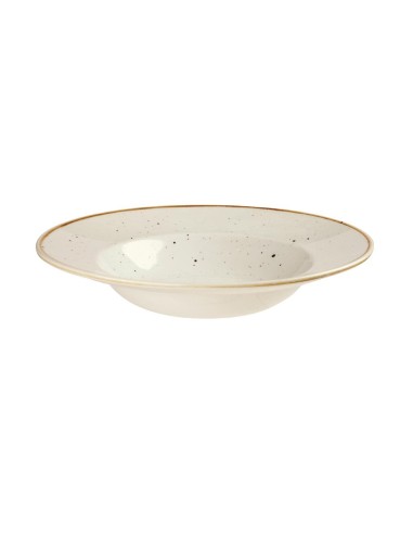 Bols Stonecast Churchill 240 mm - Lot de 12