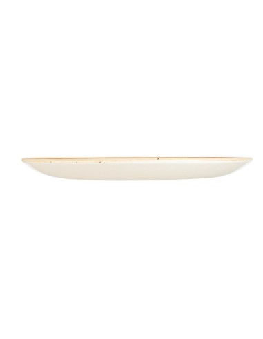 Assiettes Churchill Stonecast Spiced Orange 217mm - Lot de 12