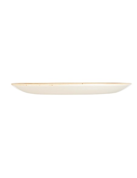 Assiettes Churchill Stonecast Spiced Orange 217mm - Lot de 12