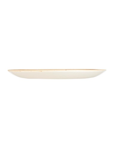 Assiettes Churchill Stonecast Spiced Orange 260 mm - Lot de 12