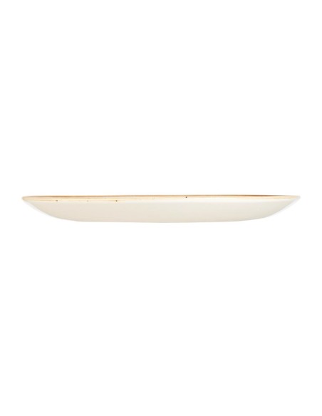 Assiettes Churchill Stonecast Spiced Orange 260 mm - Lot de 12