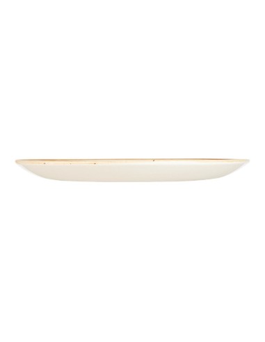 Assiettes Churchill Stonecast Orange 165mm - Lot de 12