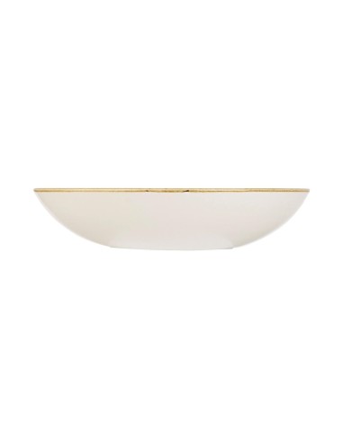 Assiettes Churchill Stonecast Orange 220mm - Lot de 12