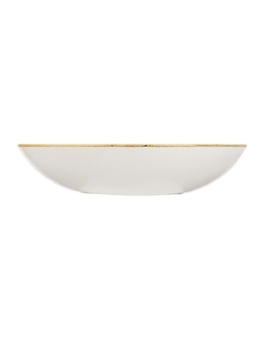 Assiettes coupes rondes Churchill Stonecast 184 mm - Lot de 12