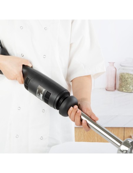 Mixeur plongeant Nisbets Essentials 250 mm 350W