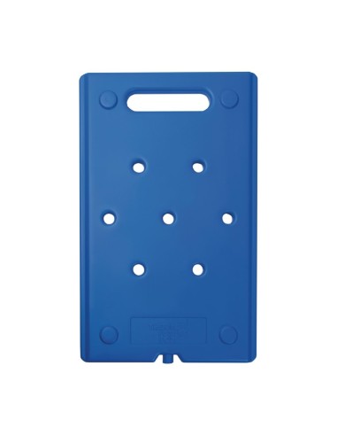 Plaque de refroidissement GN 1/1 Thermobox - Thermo Future