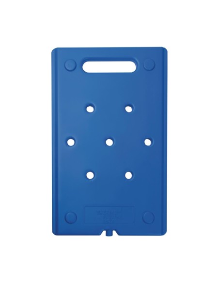 Plaque de refroidissement GN 1/1 Thermobox - Thermo Future