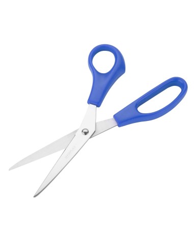 Ciseaux Hygiplas bleus 203 mm - inox, poisson cru
