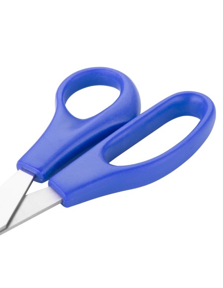 Ciseaux Hygiplas bleus 203 mm - inox, poisson cru