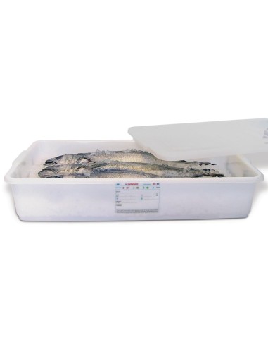 Conteneur alimentaire Araven 40L - Polypropylène résistant