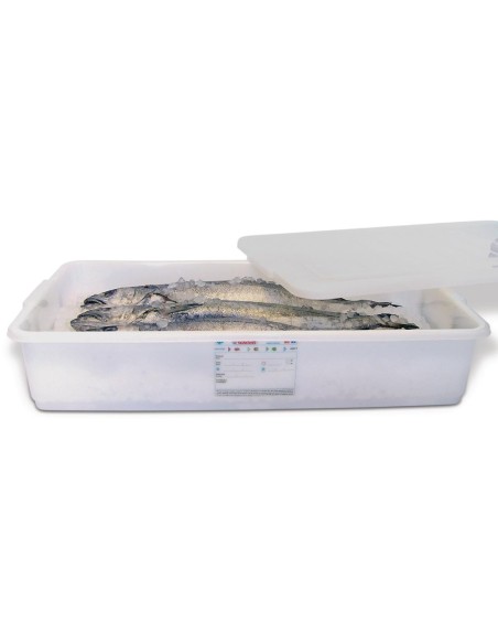 Conteneur alimentaire Araven 40L - Polypropylène résistant