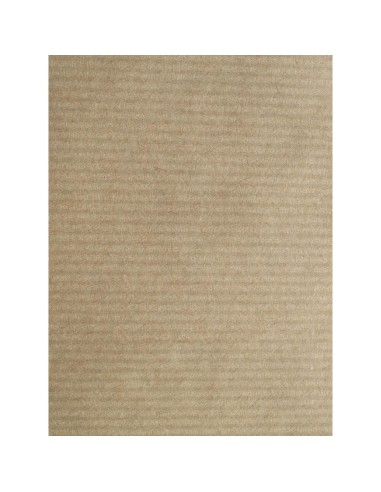Set de table kraft 400x300 mm - Lot de 500 Pro Nappe