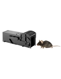 Piège à souris sans cruauté Eazyzap - lot de 2