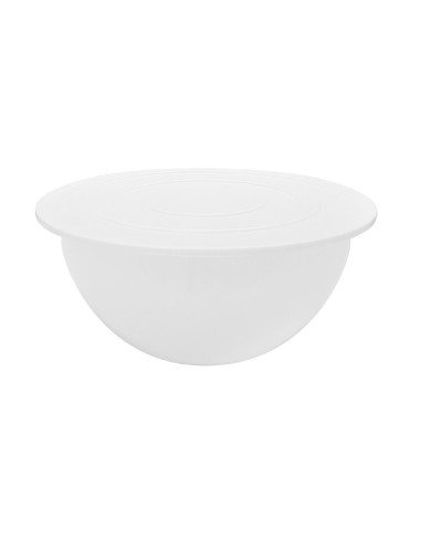 Bassine en polypropylène Schneider 13L