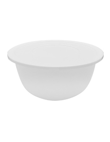 Bassine polypropylène Schneider 4.5L - robuste et empilable