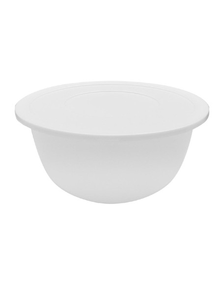 Bassine polypropylène Schneider 4.5L - robuste et empilable