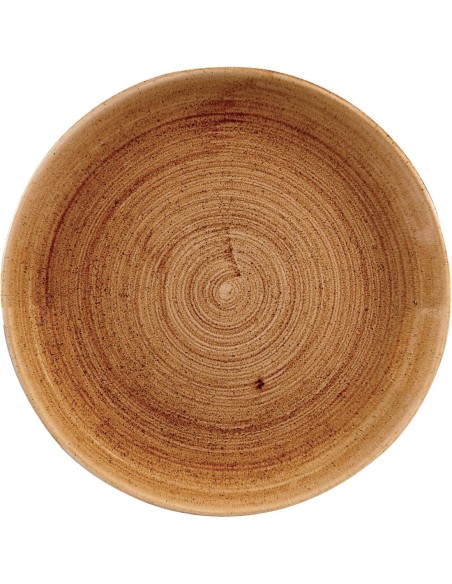 Assiettes Churchill Stonecast 260 mm - Lot de 12