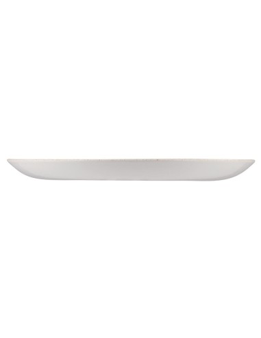 Assiettes Churchill Raku Orange 288mm - Lot de 12